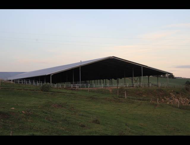 814HA FARM FOR SALE IN RIVERSDALE RURAL